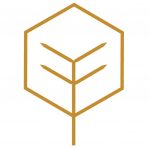 The Center for Plastic Surgery