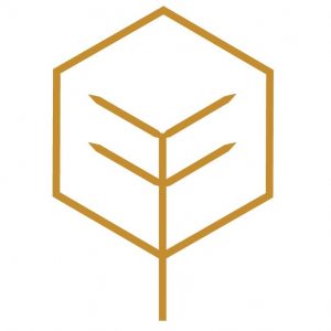 The Center for Plastic Surgery